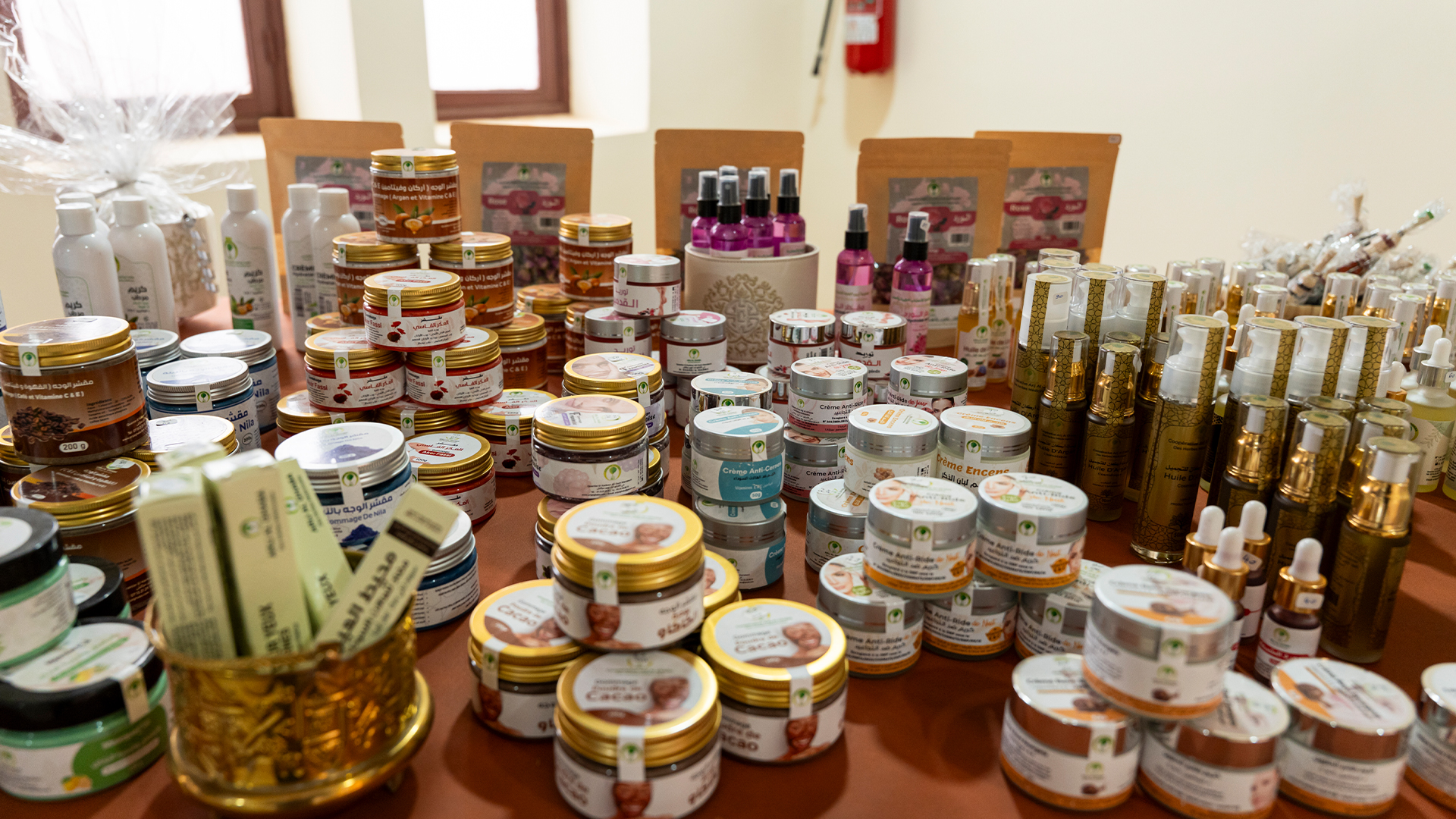 معرض الصور — إعادة بناء ودعم التعاونيات في المناطق المتضررة من الزلزال